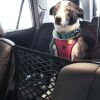 Pet Car Net Partition