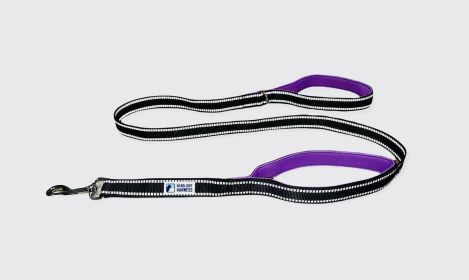 Double-handle reflective dog leash nighttime walking (Color (HH): Purple)