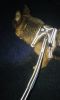 Double-handle reflective dog leash nighttime walking