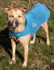 Dog Helios Lotus-Rusher Waterproof 2-in-1 Convertible Dog Jacket w/ Blackshark technology