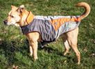 Dog Helios Lotus-Rusher Waterproof 2-in-1 Convertible Dog Jacket w/ Blackshark technology
