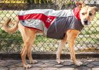 Dog Helios Lotus-Rusher Waterproof 2-in-1 Convertible Dog Jacket w/ Blackshark technology