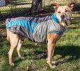 Dog Helios Lotus-Rusher Waterproof 2-in-1 Convertible Dog Jacket w/ Blackshark technology