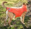 Dog Helios Lotus-Rusher Waterproof 2-in-1 Convertible Dog Jacket w/ Blackshark technology