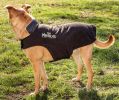 Dog Helios Lotus-Rusher Waterproof 2-in-1 Convertible Dog Jacket w/ Blackshark technology
