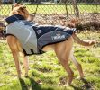 Dog Helios Lotus-Rusher Waterproof 2-in-1 Convertible Dog Jacket w/ Blackshark technology