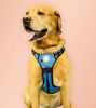 Headlight Harness Reflective Water Resistant LED Nighttime Walking Safety Harness